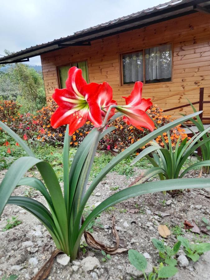 Sendero De Las Aves Миндо Экстерьер фото