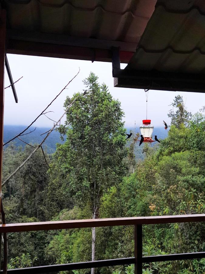 Sendero De Las Aves Миндо Экстерьер фото