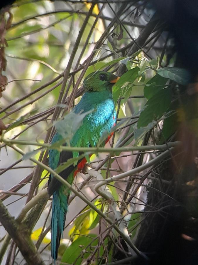 Sendero De Las Aves Миндо Экстерьер фото