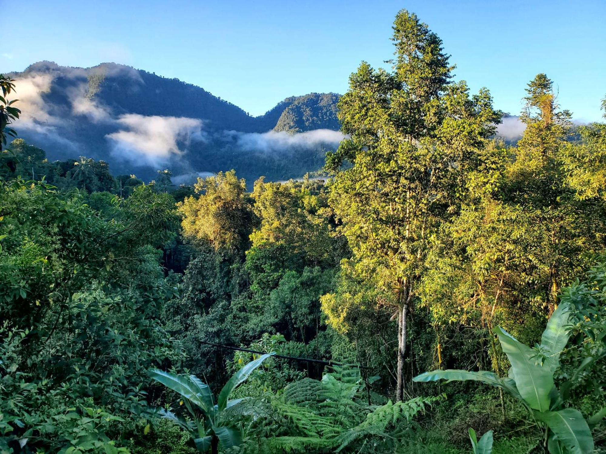 Sendero De Las Aves Миндо Экстерьер фото