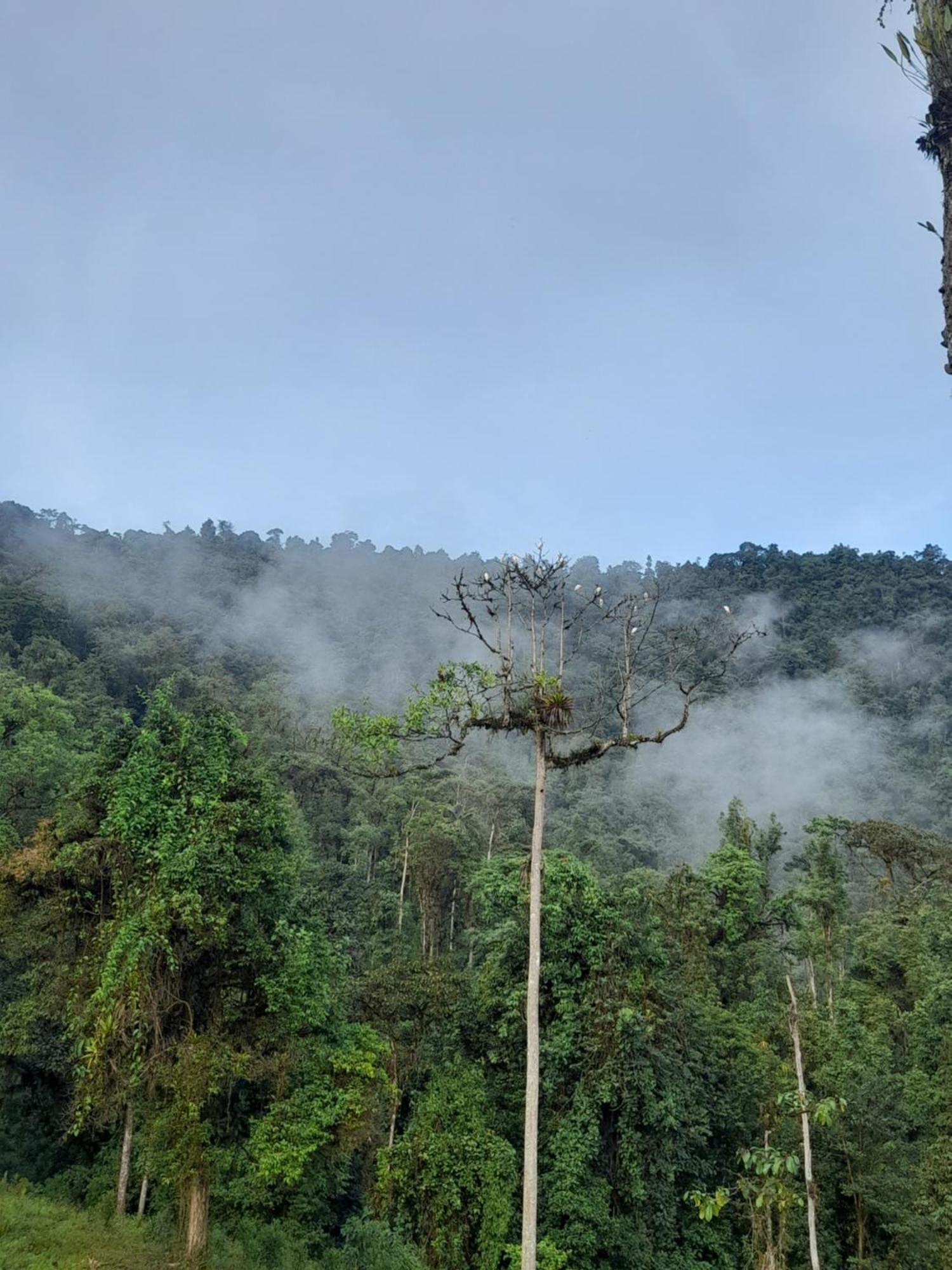 Sendero De Las Aves Миндо Экстерьер фото