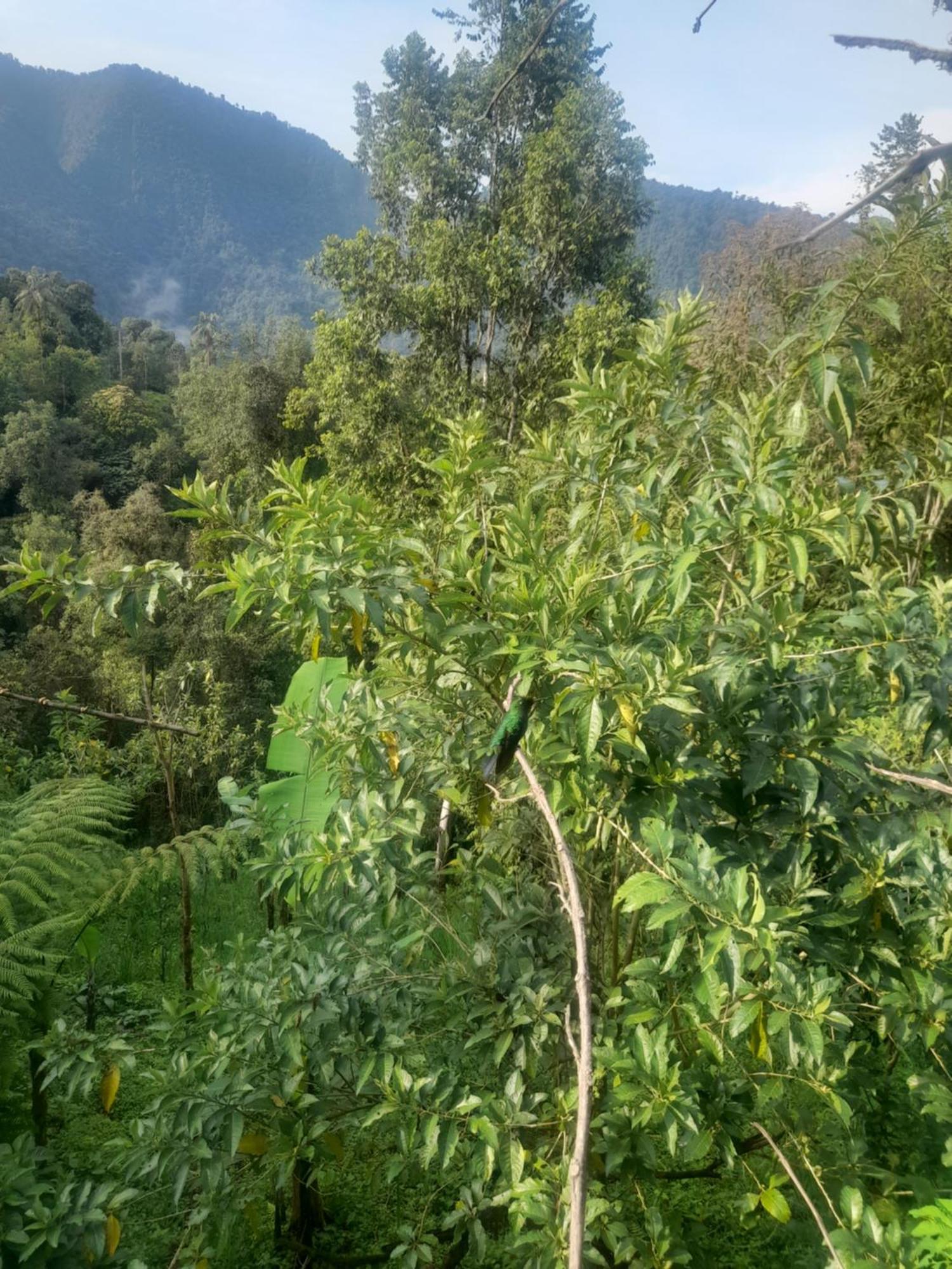 Sendero De Las Aves Миндо Экстерьер фото
