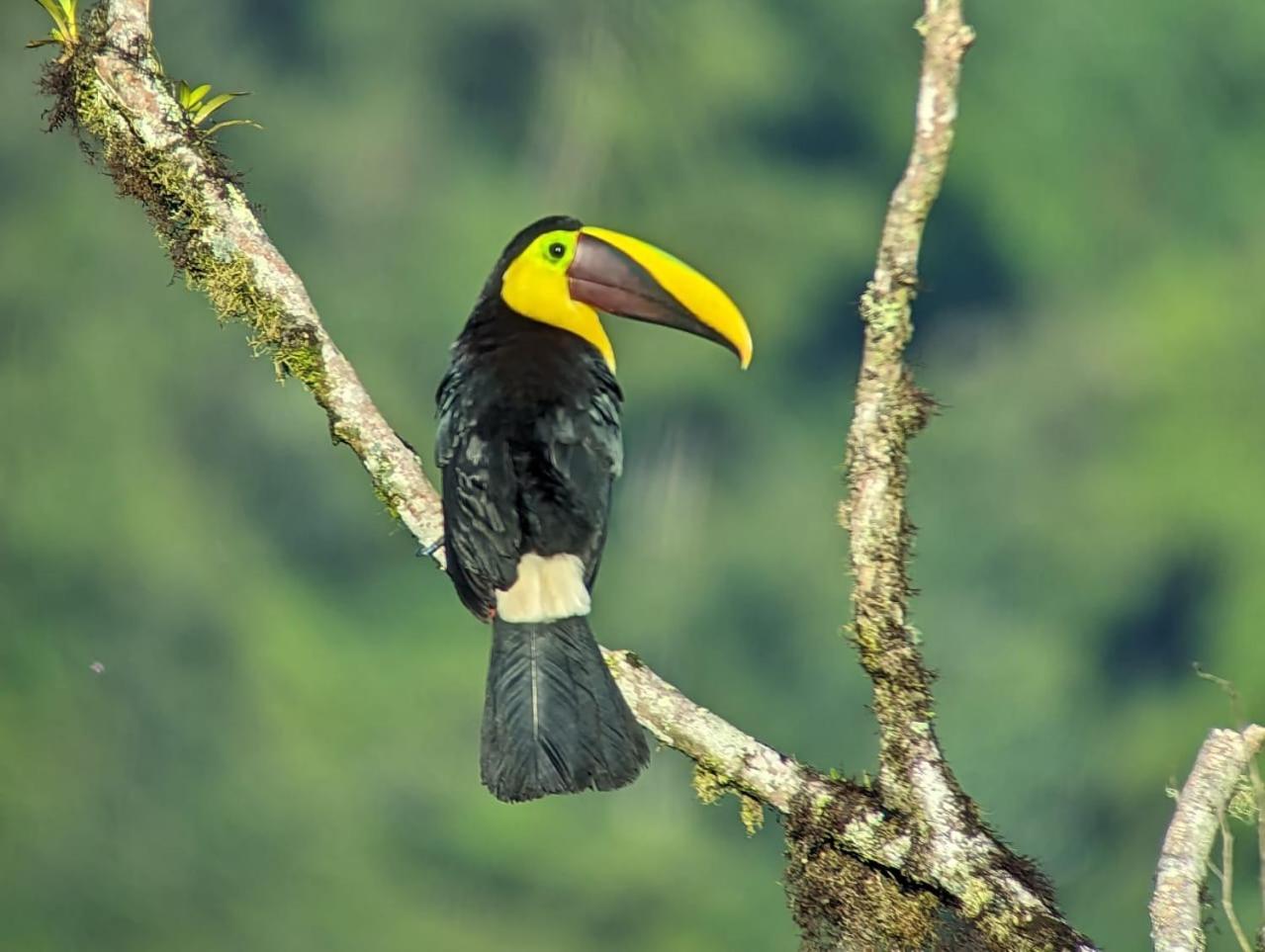 Sendero De Las Aves Миндо Экстерьер фото