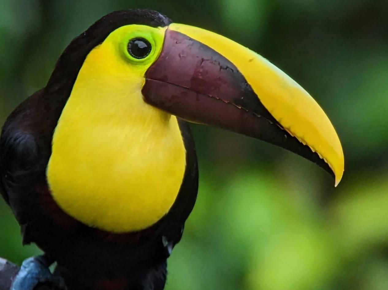 Sendero De Las Aves Миндо Экстерьер фото